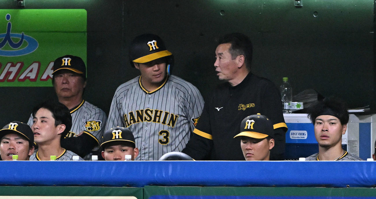 西武対阪神　9回表、ベンチから戦況を見つめる阪神佐藤輝（右）ら選手たち（撮影・滝沢徹郎）