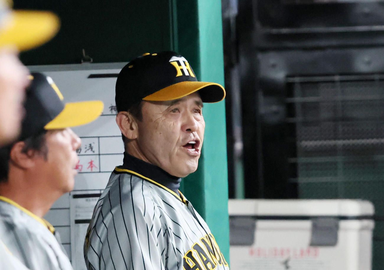 7回裏、ベンチの中で声を出す岡田監督（撮影・加藤哉）