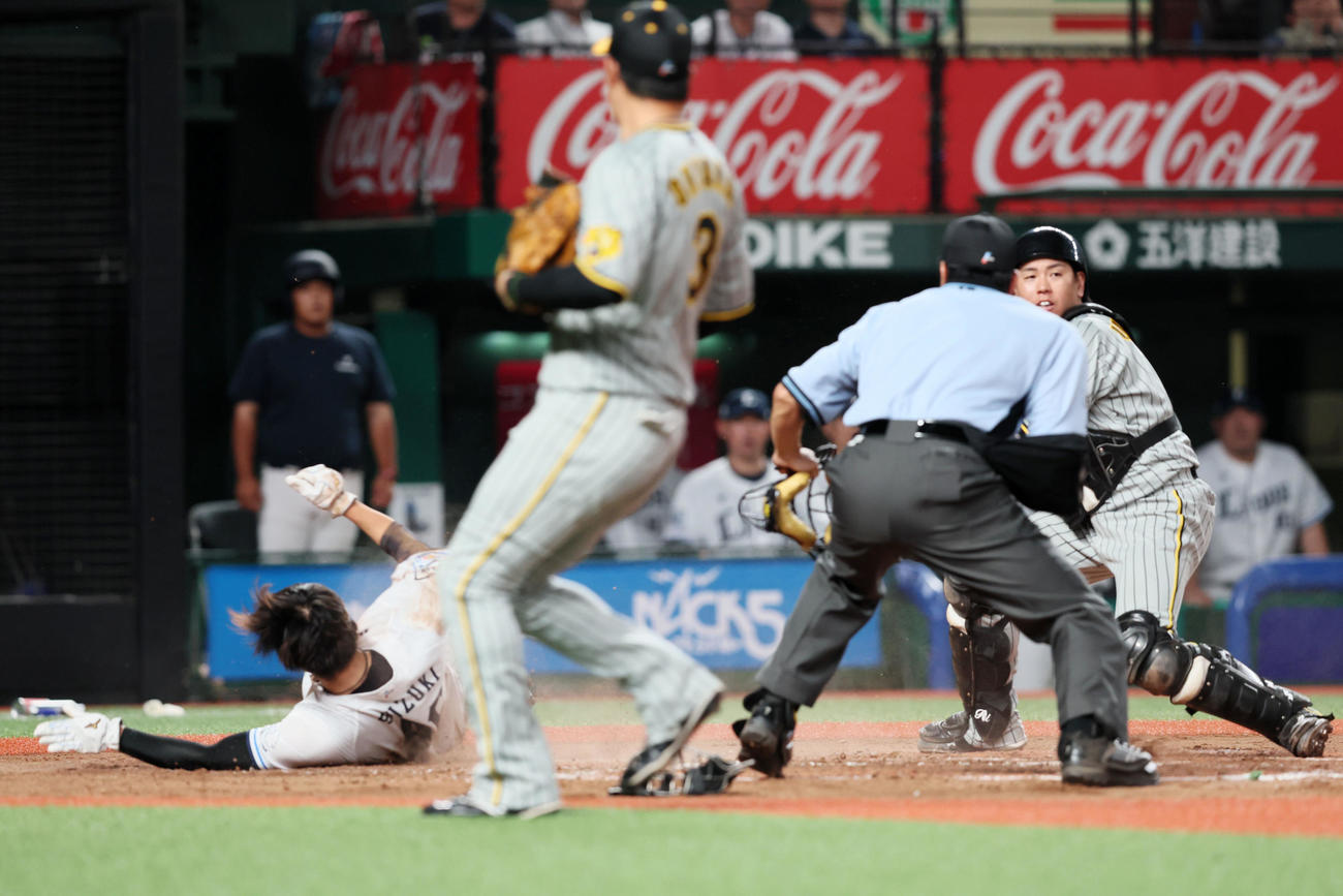 7回裏西武1死一、三塁、三塁走者鈴木は源田の一塁前スクイズで本塁突入もアウトになる。捕手は梅野（撮影・加藤哉）