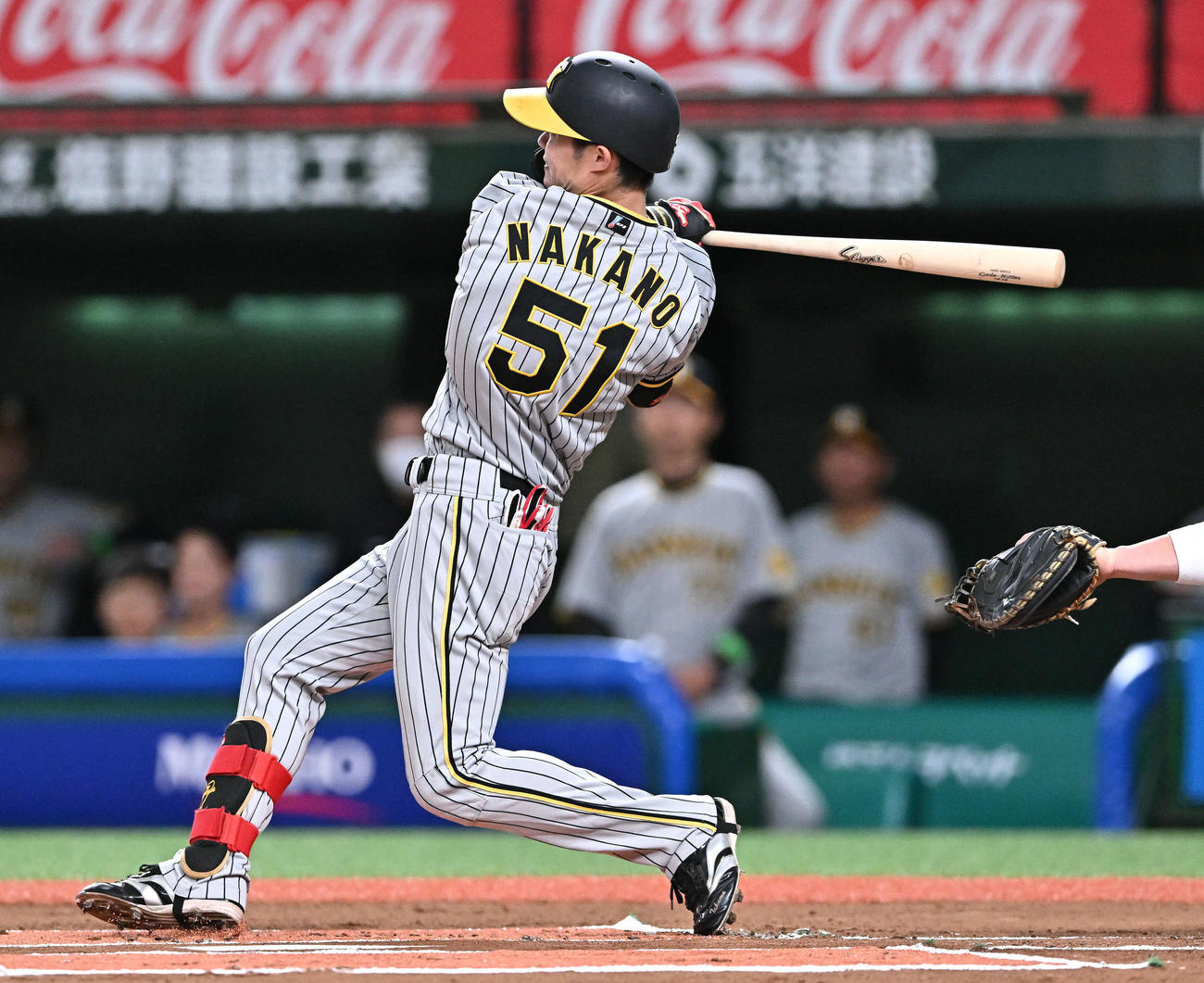 阪神中野拓夢（2023年5月30日撮影）