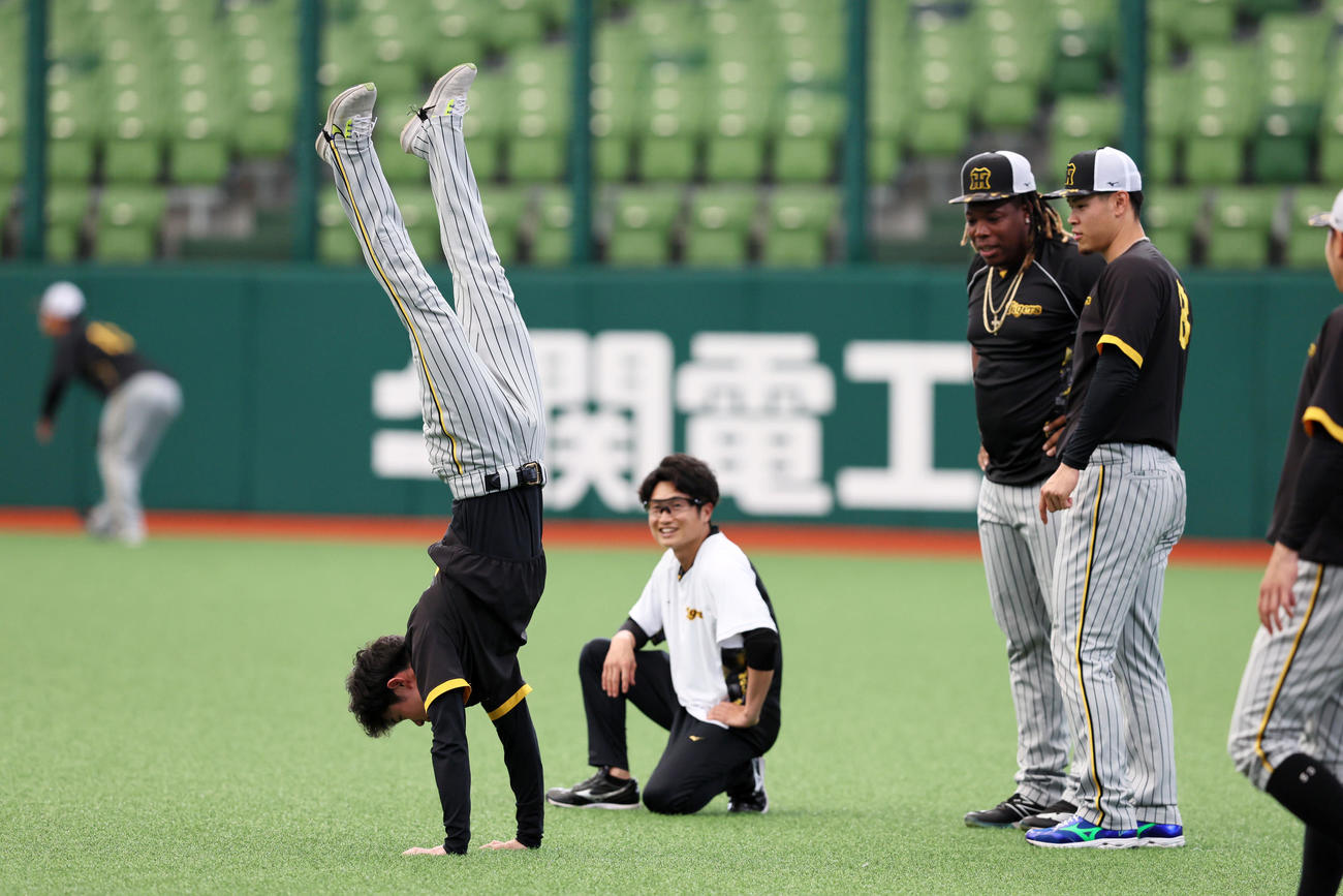 西武対阪神　ミエセス（右）、佐藤輝が見守る前で中野も倒立に挑戦（撮影・加藤哉）