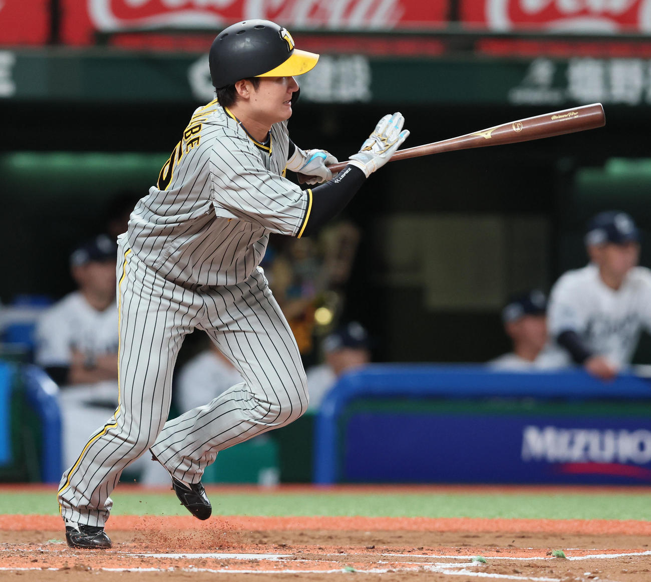 西武対阪神　2回表阪神無死一、二塁、渡辺諒は左前適時打を放つ（撮影・加藤哉）