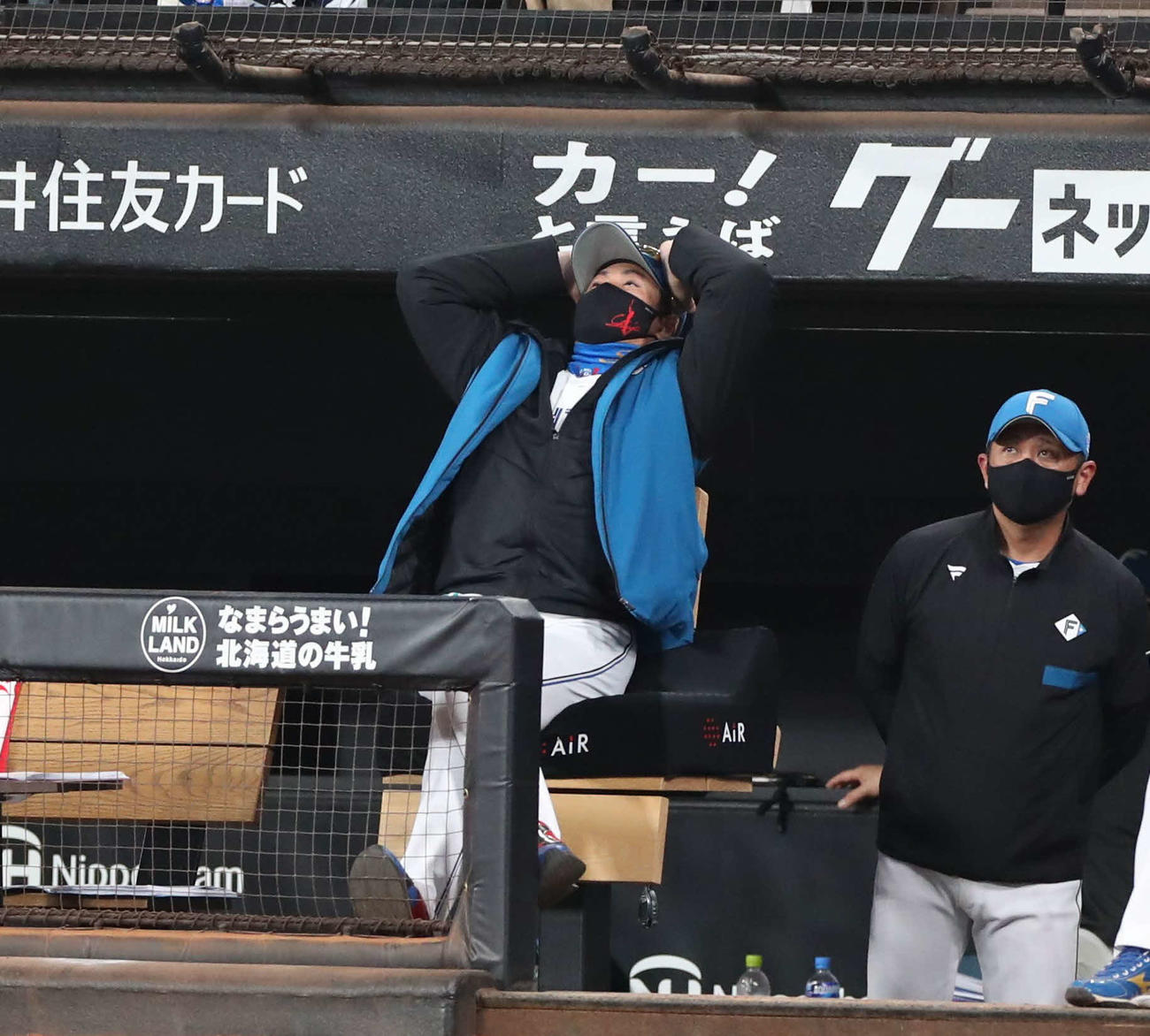 日本ハム対ヤクルト　ベンチで頭を抱える新庄監督（撮影・黒川智章）
