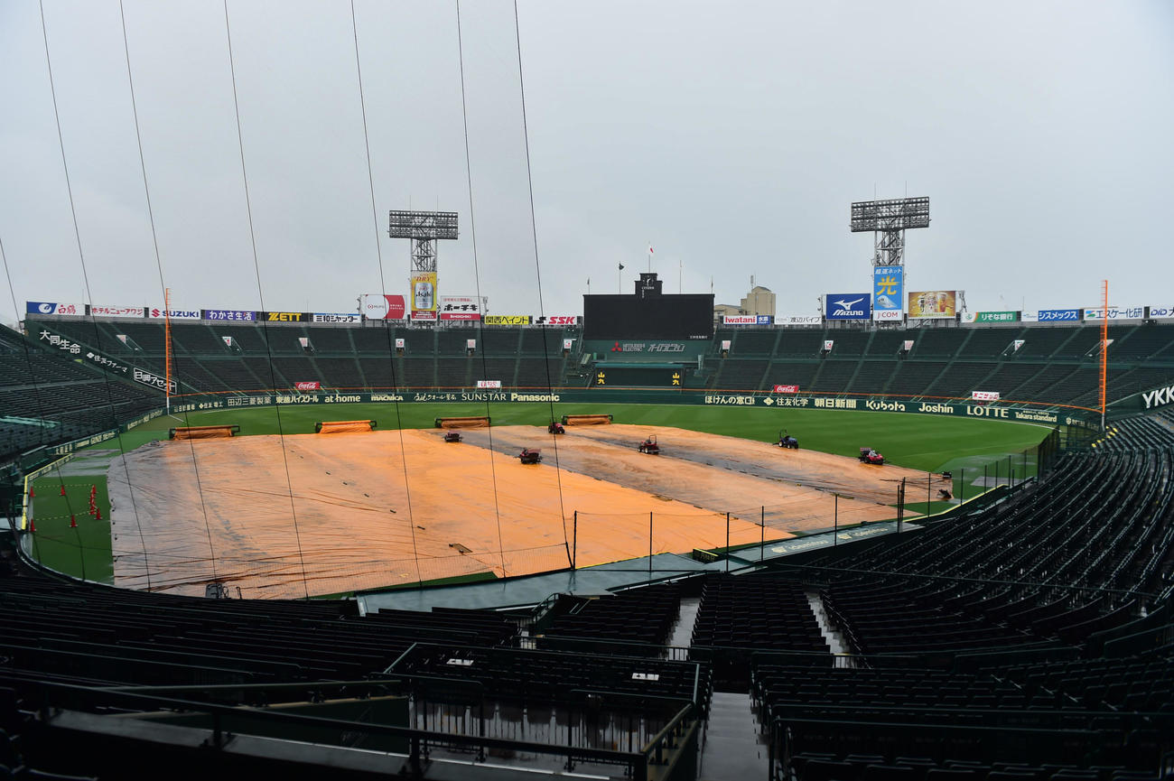 雨の甲子園球場（撮影・清水貴仁）
