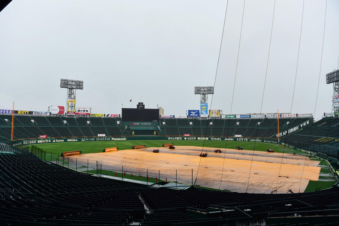 雨の甲子園球場（撮影・清水貴仁）