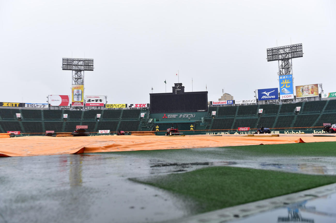 雨の甲子園球場（撮影・清水貴仁）