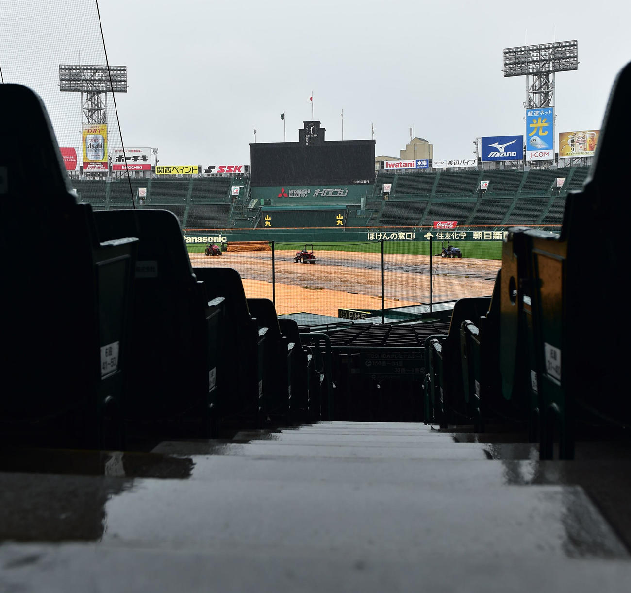 雨の甲子園球場（撮影・清水貴仁）