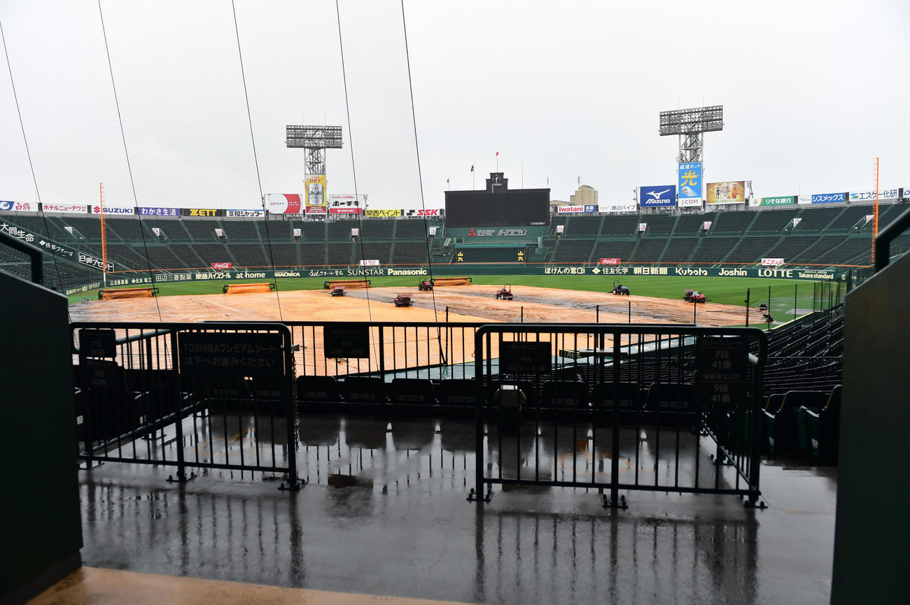 雨の甲子園球場（撮影・清水貴仁）