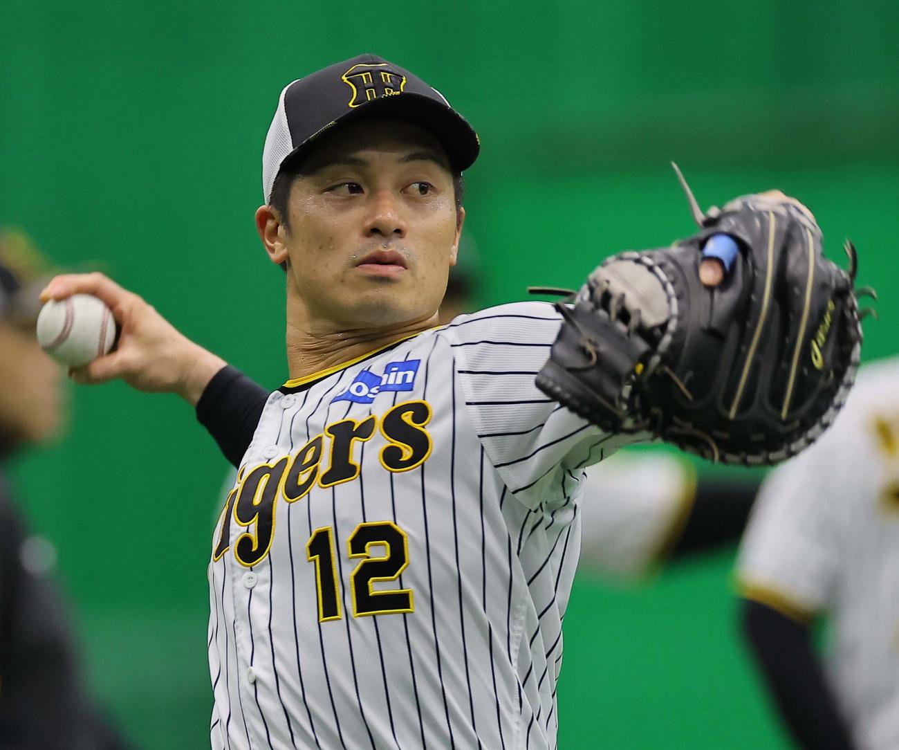キャッチボールに励む阪神坂本誠志郎（撮影・上田博志）