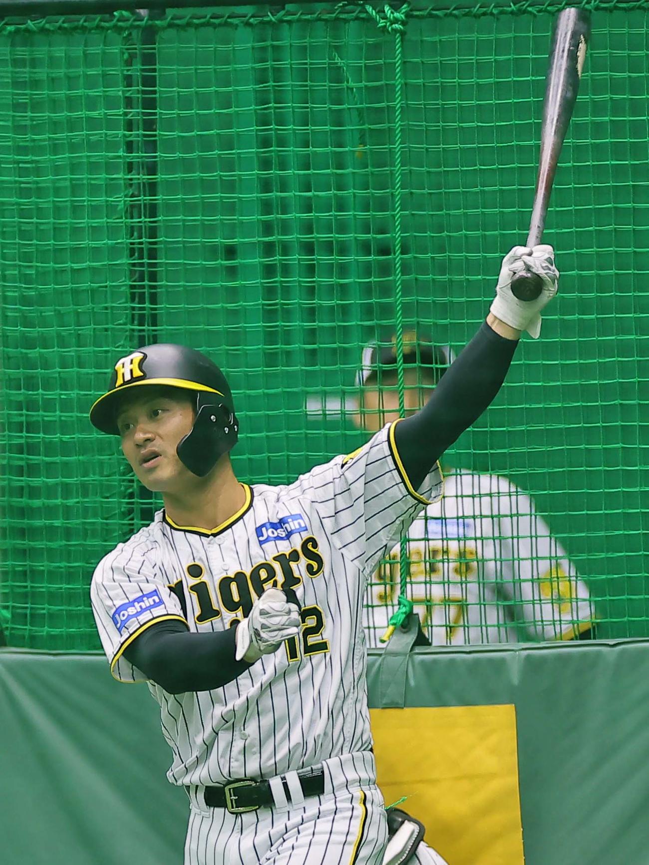 フリー打撃練習をする阪神坂本誠志郎（撮影・上田博志）