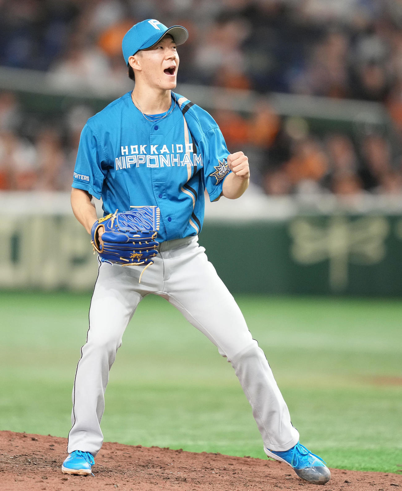 巨人対日本ハム　9回に登板した矢沢は巨人の攻撃を封じてガッツポーズ（撮影・鈴木みどり）