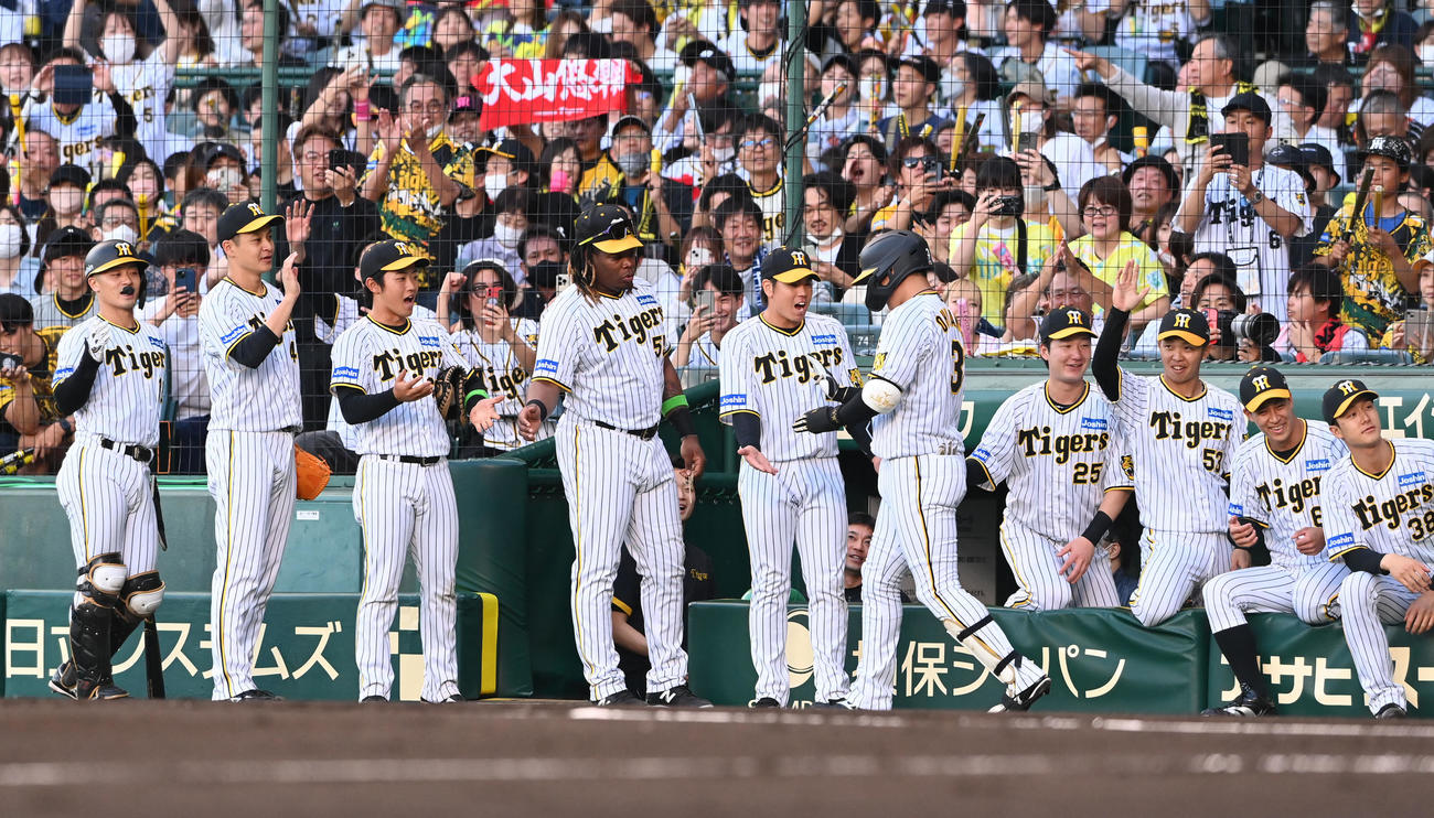 阪神対ロッテ　1回裏阪神1死一、二塁、中越えに3点本塁打を放った大山はナインの出迎えを受ける（撮影・和賀正仁）