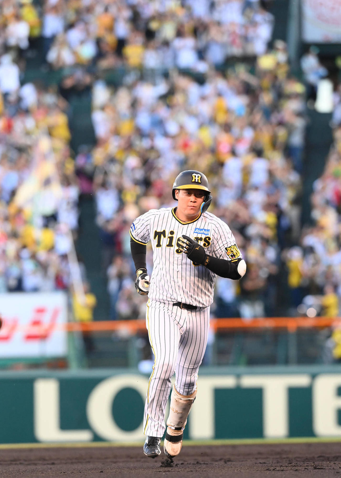 阪神対ロッテ　1回裏阪神1死一、二塁、中越えに3点本塁打を放った大山は悠然とダイアモンドを一周（撮影・和賀正仁）