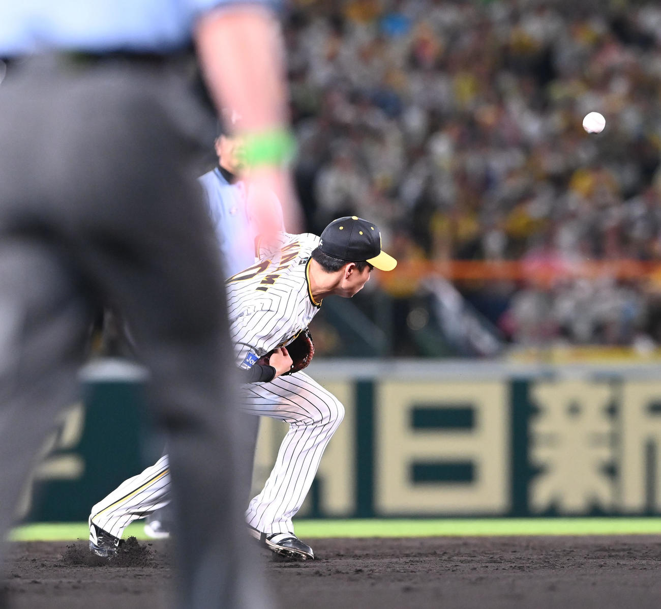 阪神対ロッテ　9回表ロッテ無死、山口航輝の打球を失策する遊撃手木浪（撮影・和賀正仁）
