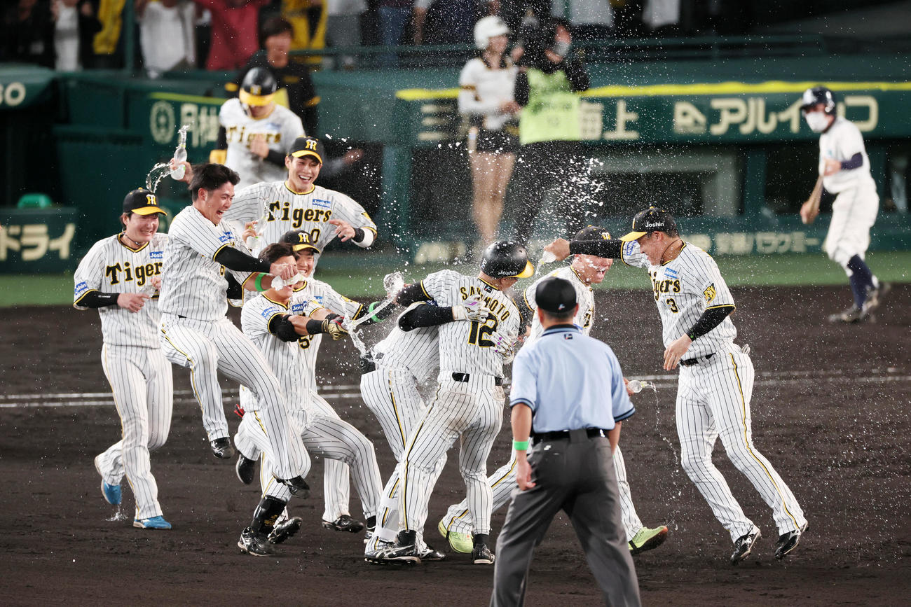 阪神対ロッテ　11回裏阪神1死満塁、小幡の中前適時打でサヨナラ勝ちとなり水を掛け合うナインたち（撮影・加藤哉）