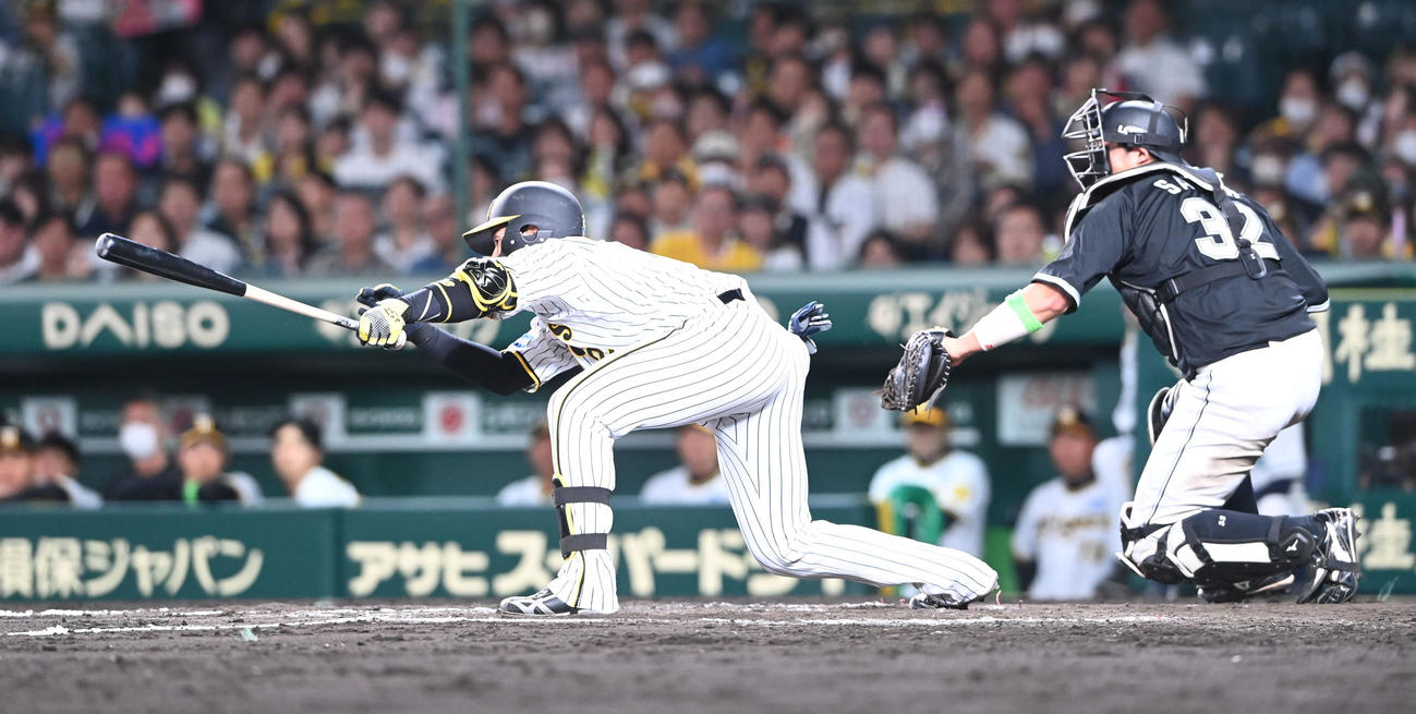 阪神対ロッテ　11回裏阪神無死一塁、バスターエンドランを決める梅野（撮影・和賀正仁）