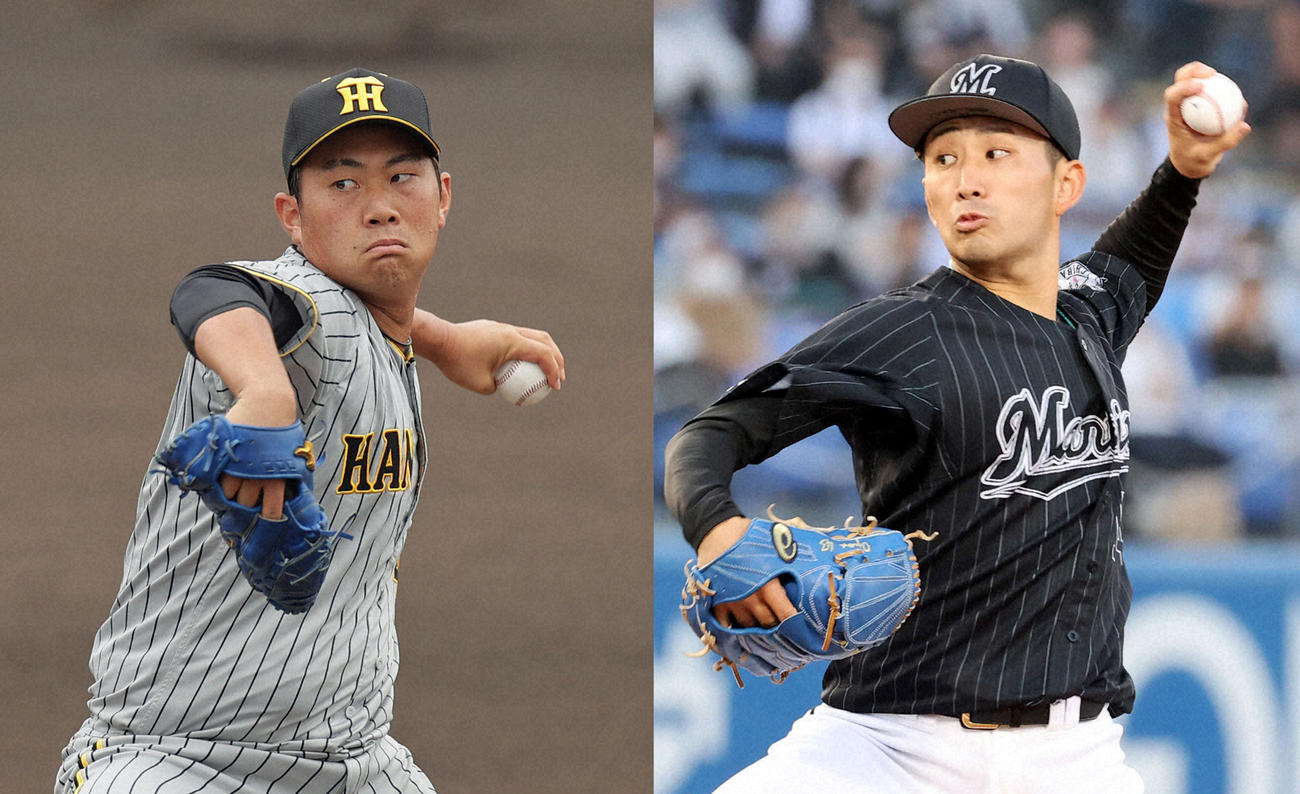 阪神桐敷拓馬（左）とロッテ小島和哉