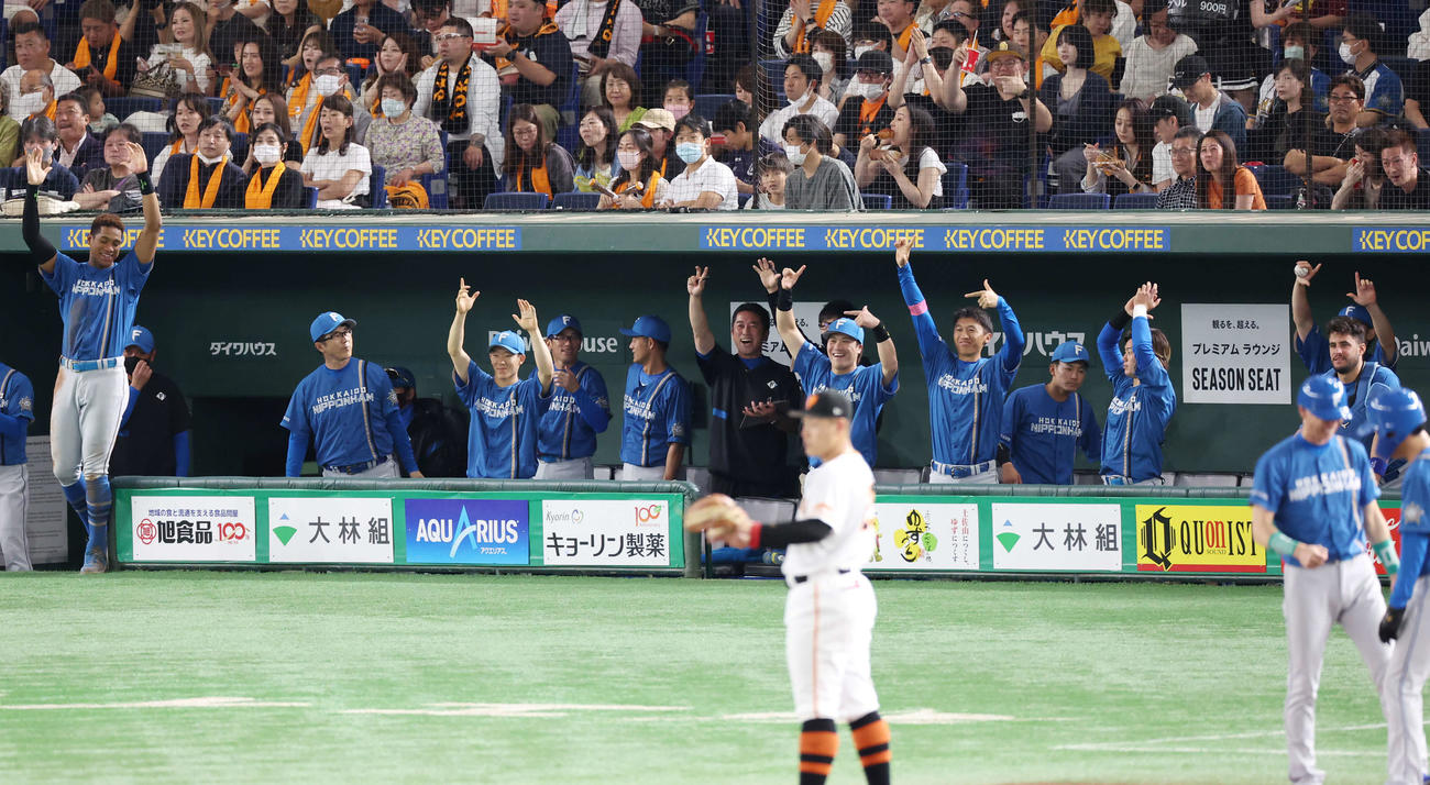 巨人対日本ハム　2回表日本ハム2死一、三塁、細川が勝ち越し右適時二塁打を放ち、盛り上がるベンチ（撮影・宮地輝）