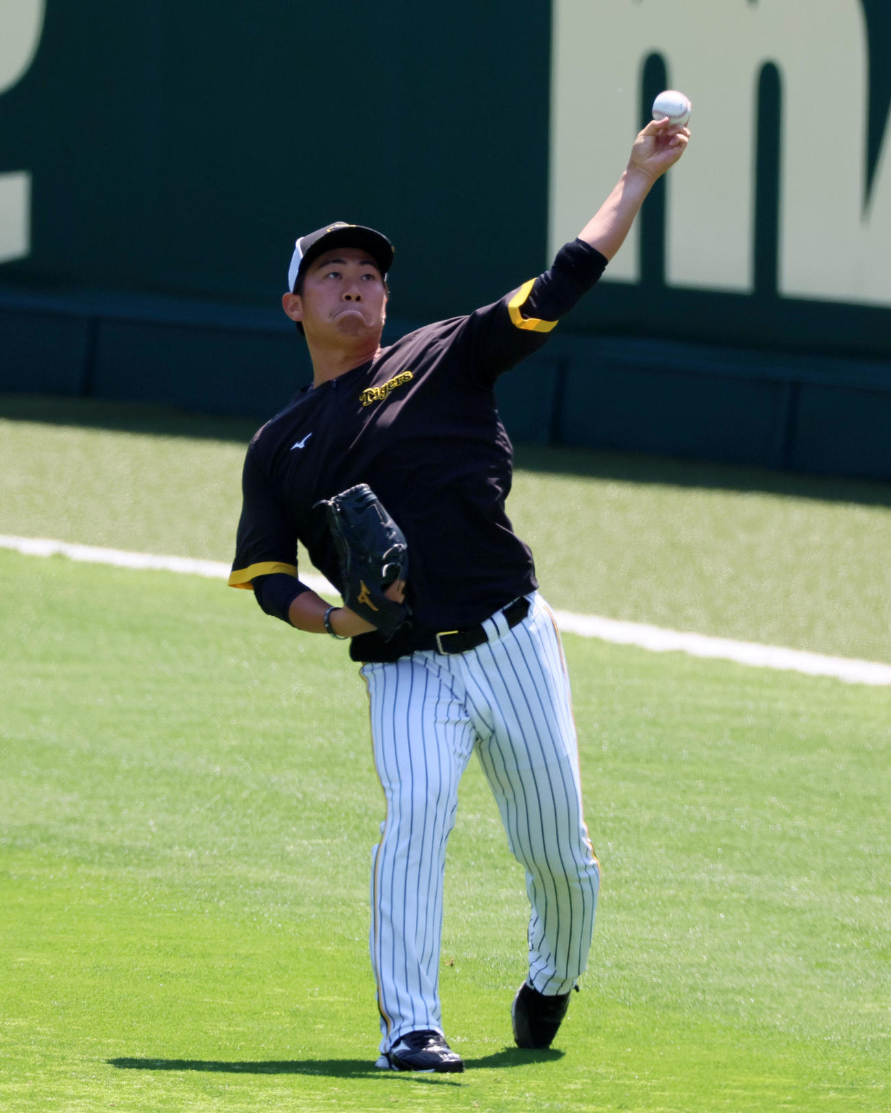 阪神対ロッテ　練習でキャッチボールする桐敷（撮影・加藤哉）