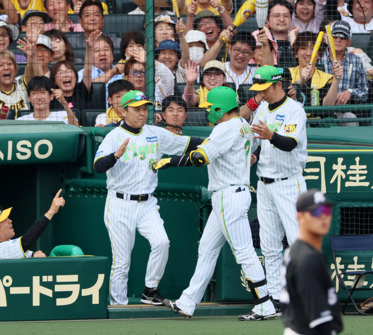 阪神対ロッテ　7回裏阪神無死、岡田監督（左）は左越えソロ本塁打を放った梅野をベンチで出迎える（撮影・加藤哉）