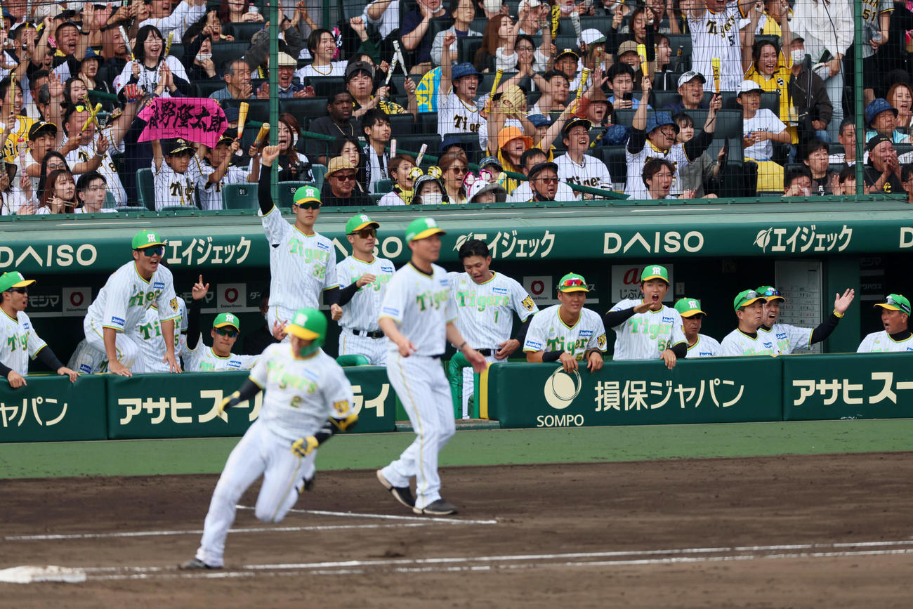 阪神対ロッテ　7回裏阪神無死、梅野の左越えソロ本塁打にベンチで笑顔を見せるナインたち。右から2人目は岡田監督（撮影・加藤哉）