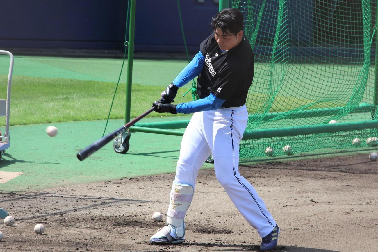 試合前にティー打撃を行う日本ハム清宮（撮影・石井翔太）