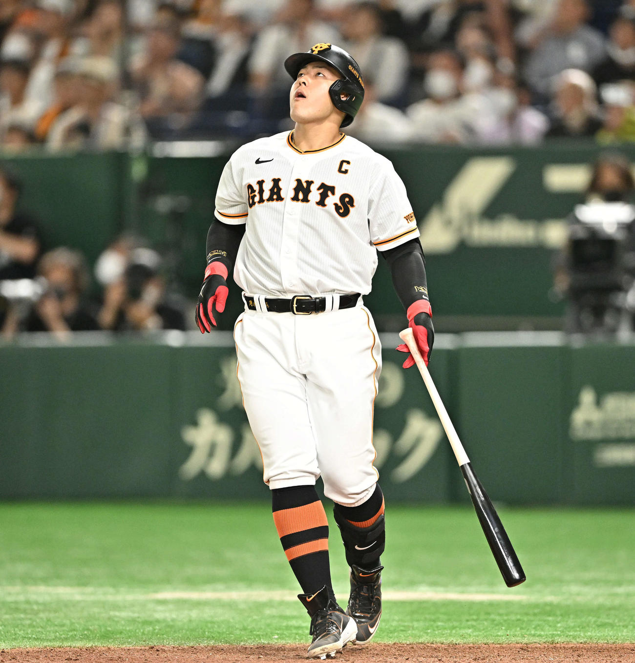 巨人対日本ハム　6回裏巨人2死、岡本和は左越えソロ本塁打の打球を見つめる（撮影・滝沢徹郎）