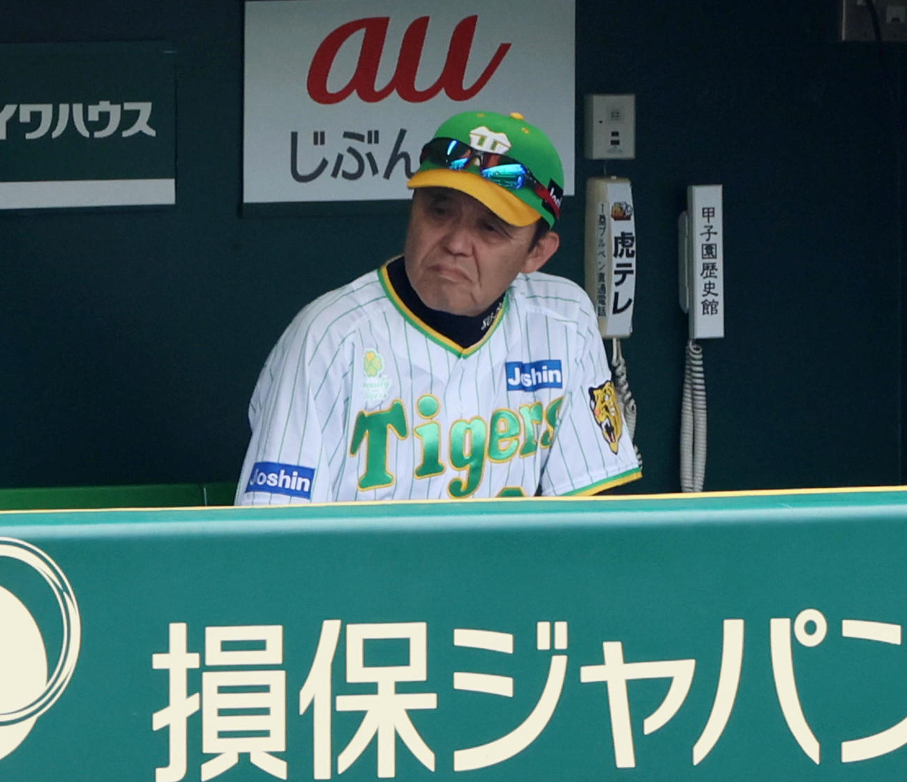 阪神対ロッテ　2回裏、ベンチから試合展開を見つめる岡田監督（撮影・加藤哉）