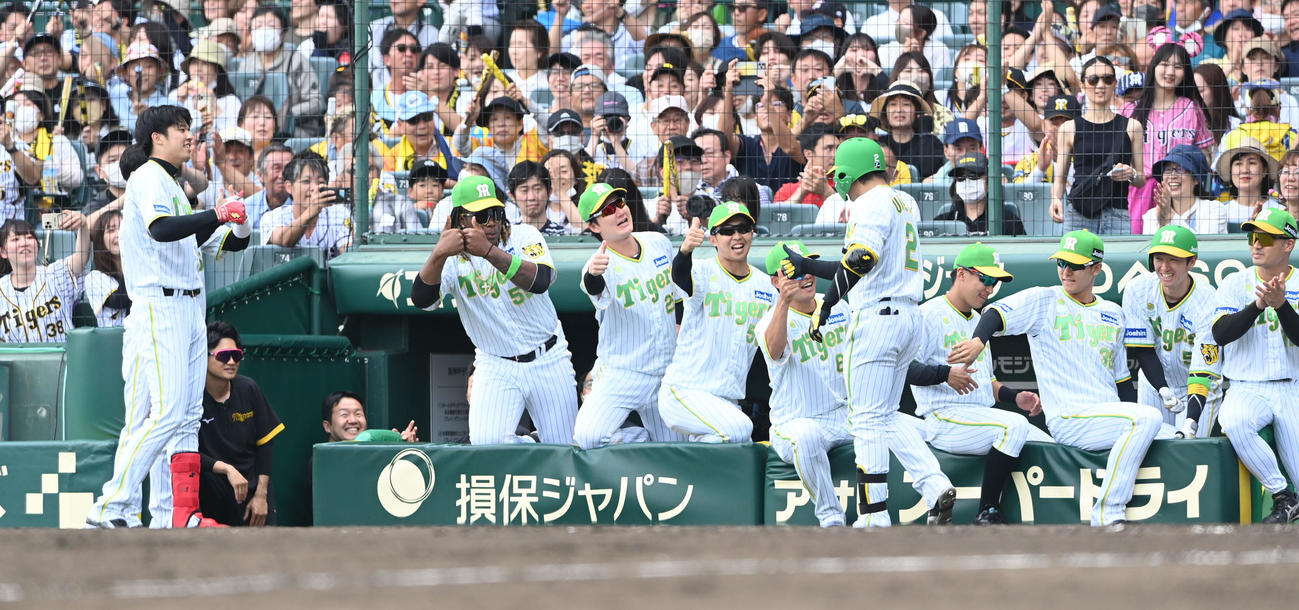阪神対ロッテ　7回裏阪神無死、左越え本塁打を放った梅野は才木（左）らナインとハイタッチ（撮影・和賀正仁）