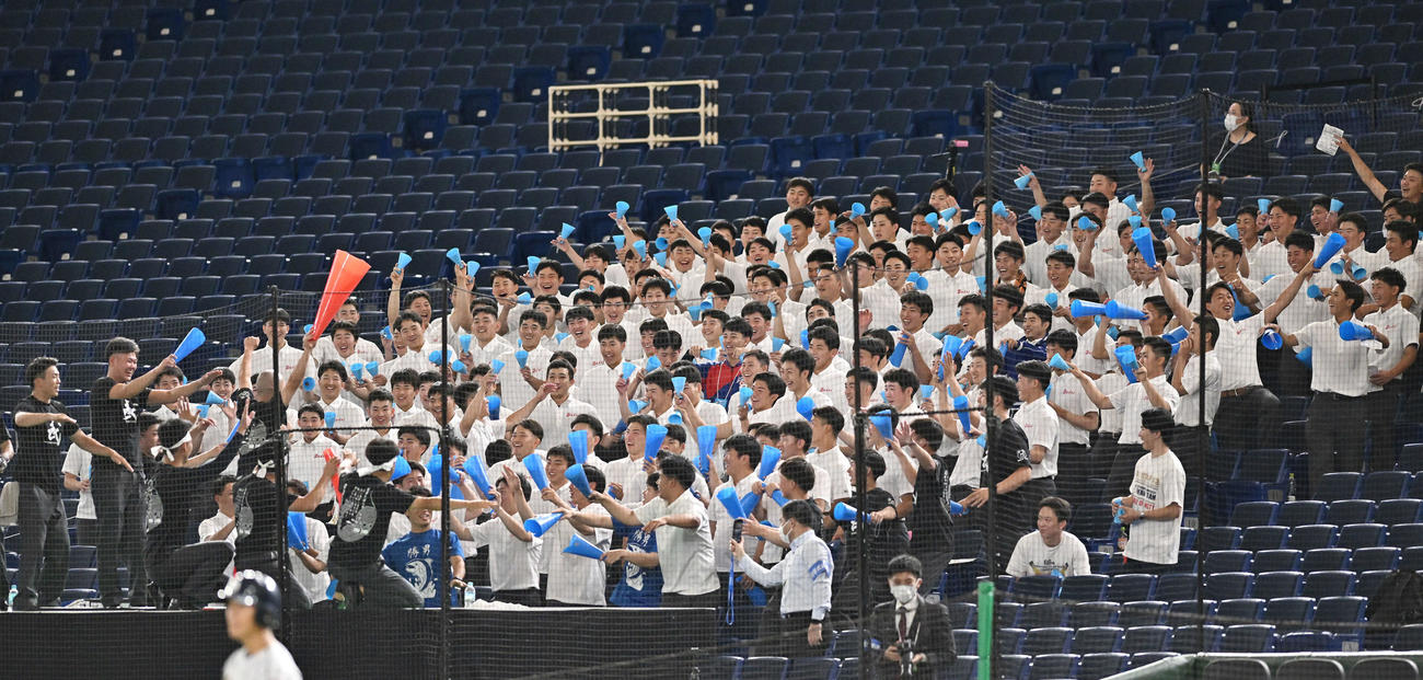 国際武道大対広島経大　盛り上がる国際武道大の応援団（撮影・滝沢徹郎）