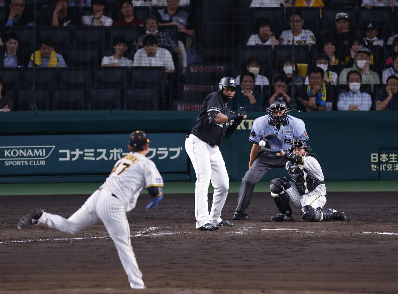 阪神対ロッテ　5回表ロッテ2死満塁、押し出しの四球を選ぶポランコ（撮影・藤尾明華）