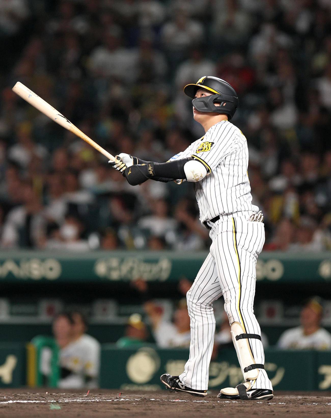 阪神対ロッテ　5回裏阪神1死一、三塁、大山は左越え3点本塁打を放つ（撮影・上山淳一）