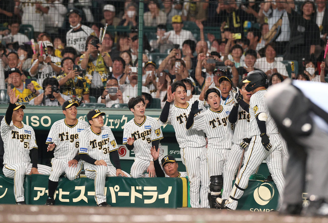阪神対ロッテ　5回裏阪神1死一、三塁、大山（手前）は左越え3点本塁打を放ちナインの出迎え受ける（撮影・上山淳一）