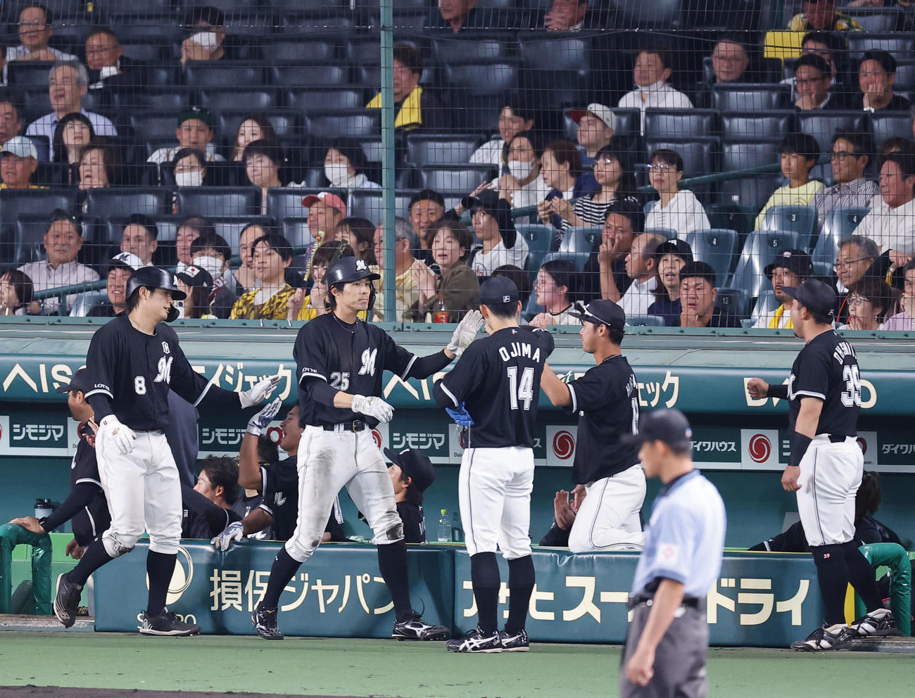 阪神対ロッテ　5回表ロッテ2死満塁、山口の2点打で生還しナインとタッチを交わす岡（中央）と中村奨（撮影・藤尾明華）