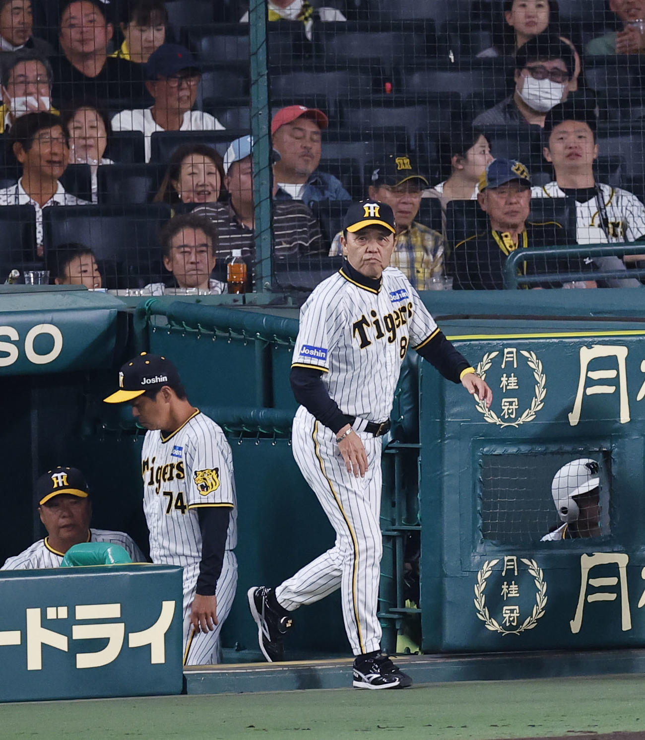 阪神対ロッテ　5回表ロッテ2死一、三塁、投手交代を告げるためベンチを出る阪神岡田監督（撮影・藤尾明華）