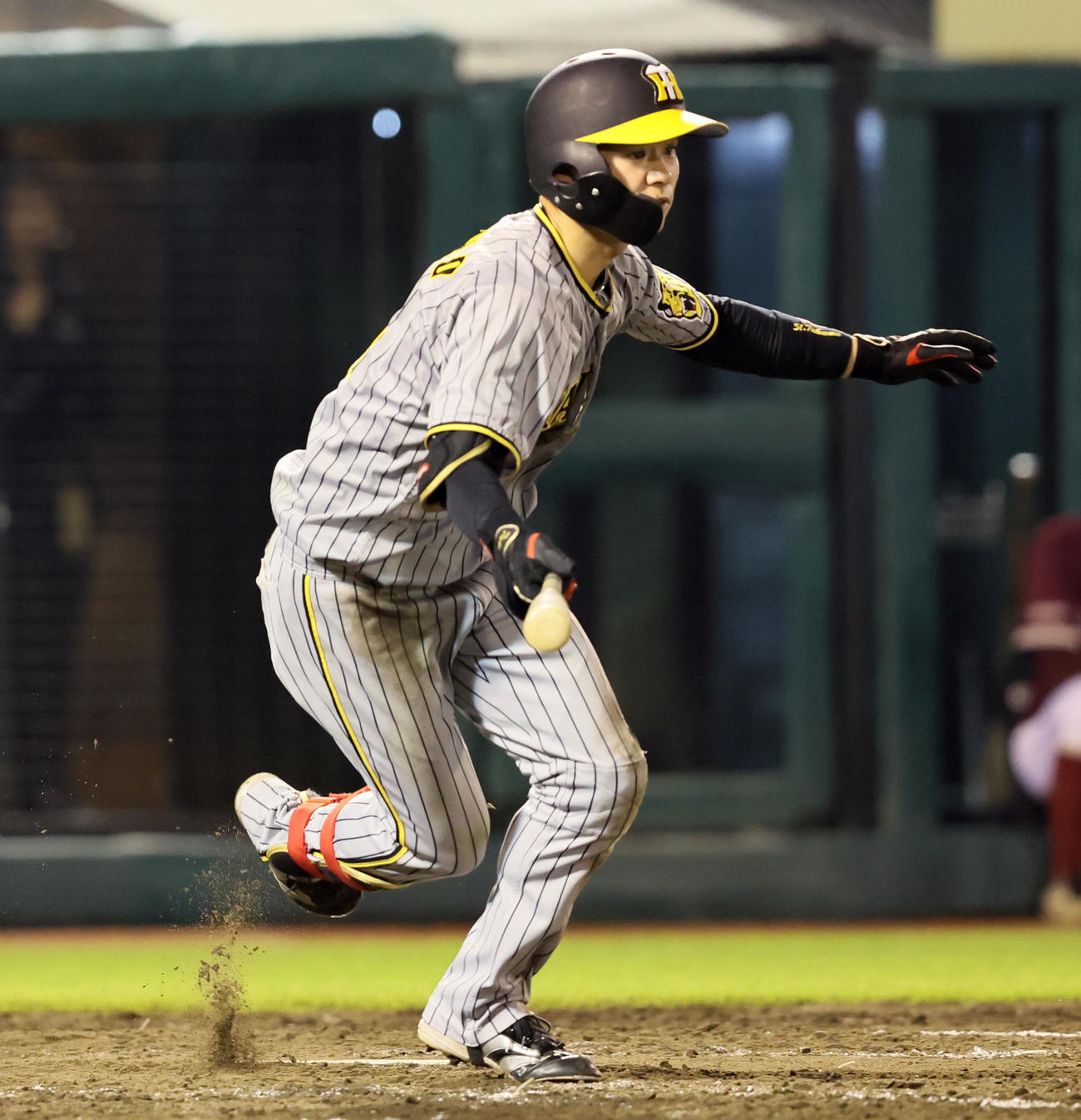楽天対阪神　5回表阪神2死一塁、中野は右前打を放つ（撮影・加藤哉）