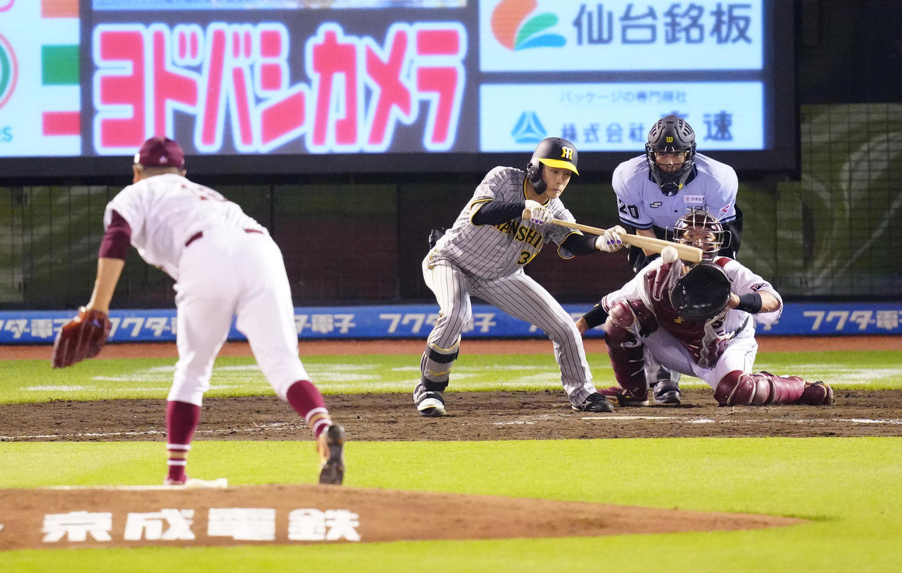 楽天対阪神　5回表阪神1死一、三塁、スクイズを決める小幡（撮影・江口和貴）