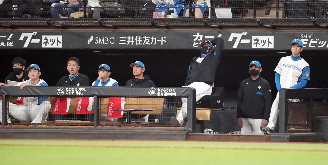 日本ハム対広島　9回裏日本ハム2死一、三塁、上川畑のヘッドスライディングの判定結果を待つ新庄監督（右から3人目）（撮影・佐藤翔太）