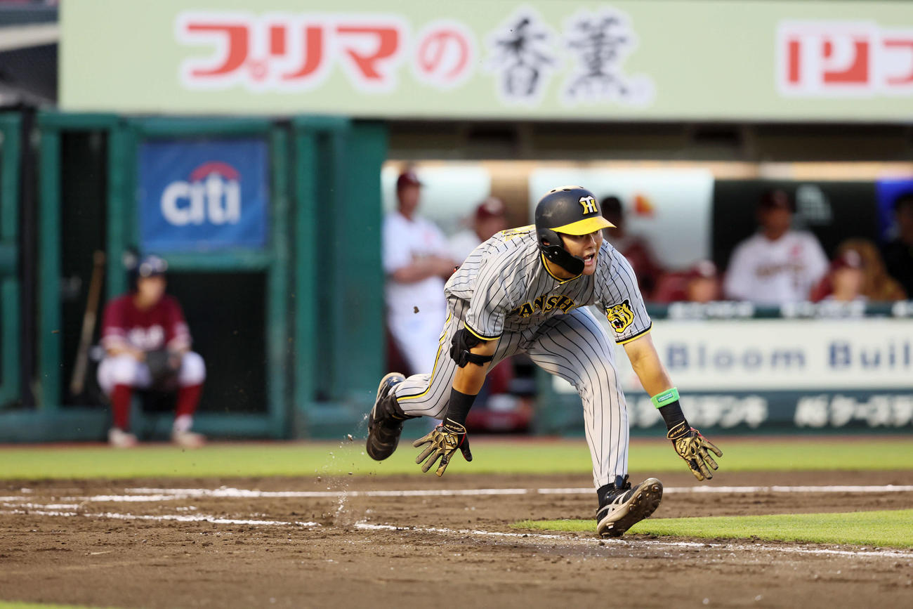 楽天対阪神　3回表阪神2死、前川は一二塁間にゴロを放ち、バランスを崩しながら走り、内野安打とする（撮影・加藤哉）