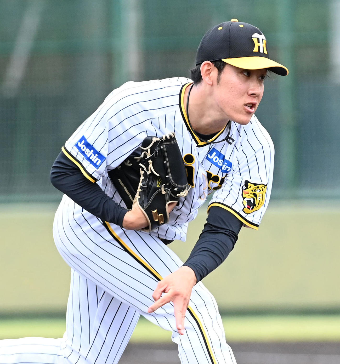 富田蓮