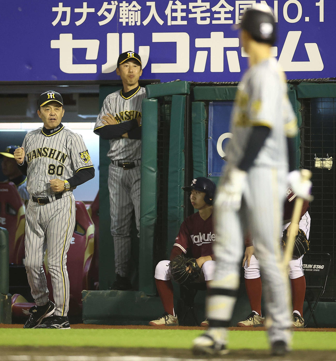 楽天対阪神　7回表阪神1死満塁、代走を送る岡田監督（撮影・河田真司）