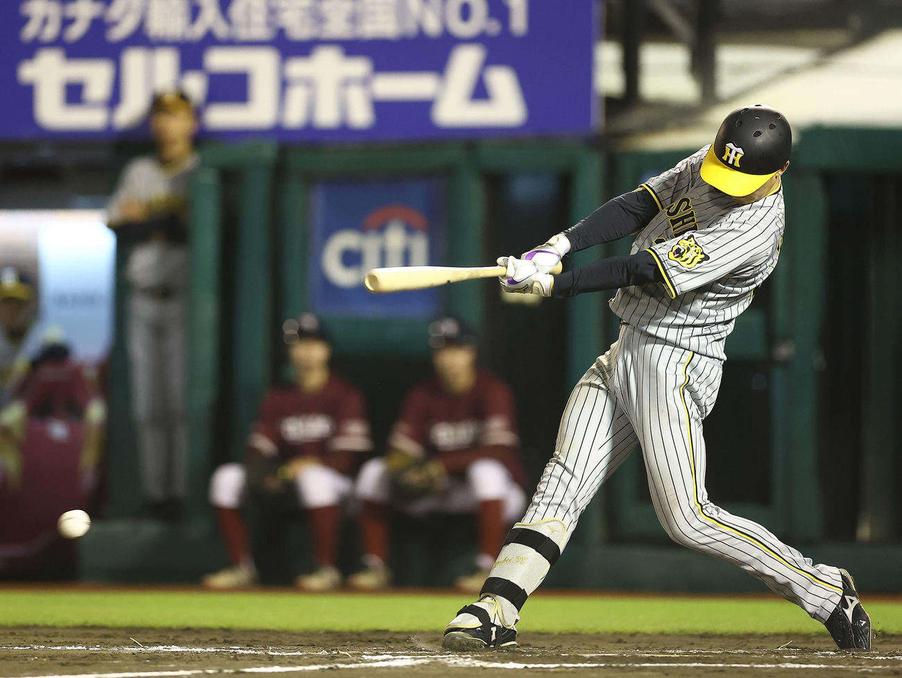 楽天対阪神　7回表阪神1死満塁、一ゴロを放つ小幡（撮影・河田真司）