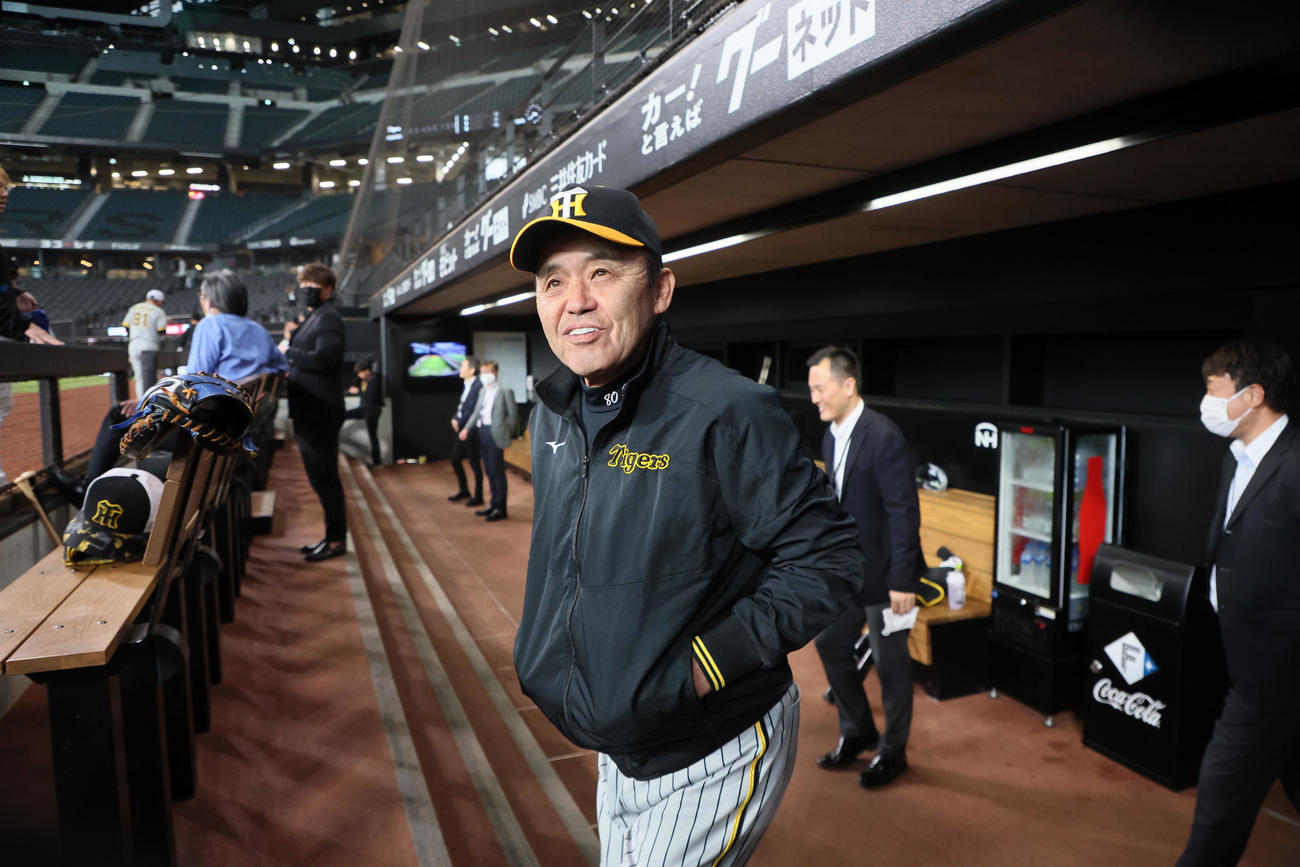 日本ハム対阪神　ベンチからグラウンドをみる岡田監督（撮影・加藤哉）