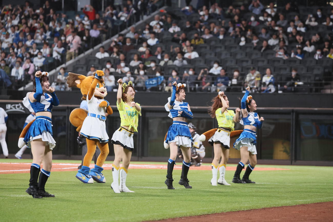 日本ハム対阪神　ファイターズガールときつねダンスを踊るタイガースガールズ（撮影・加藤哉）