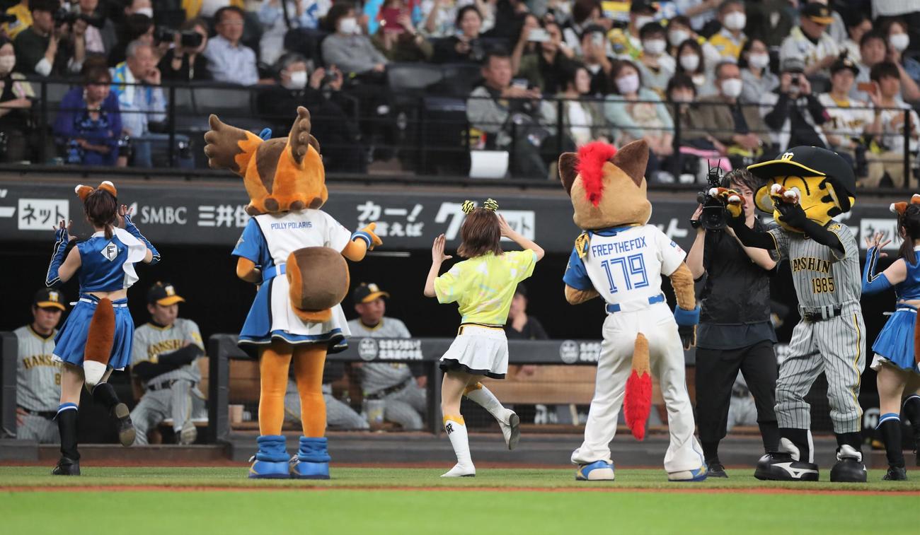 日本ハム対阪神　ファイターズガールやマスコットときつねダンスを踊るタイガースガールズ（撮影・黒川智章）