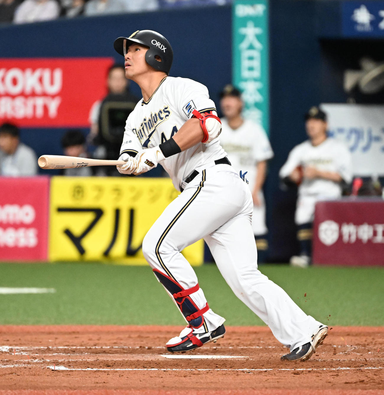 オリックス対DeNA 4回裏オリックス無死、頓宮は左越え本塁打を放つ（撮影・石井愛子）