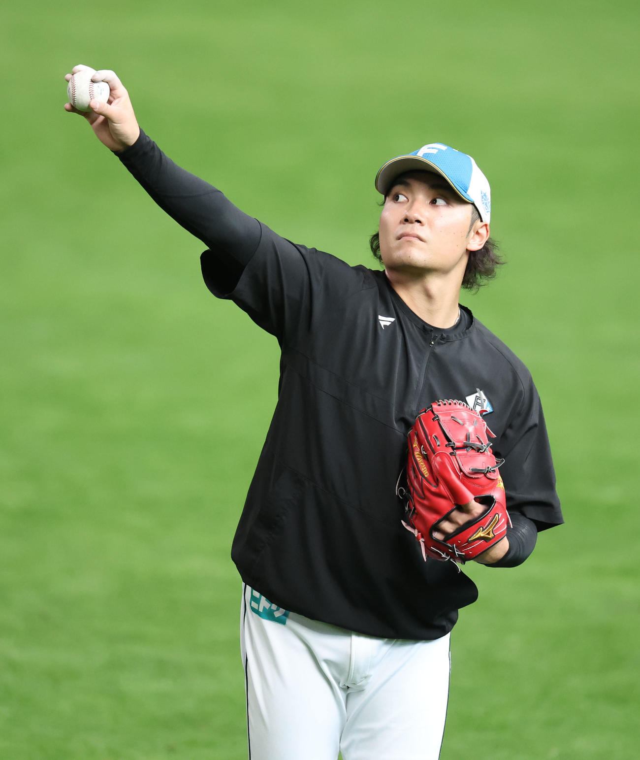 日本ハム対阪神　ボールの握りを確認する日本ハム伊藤（撮影・佐藤翔太）