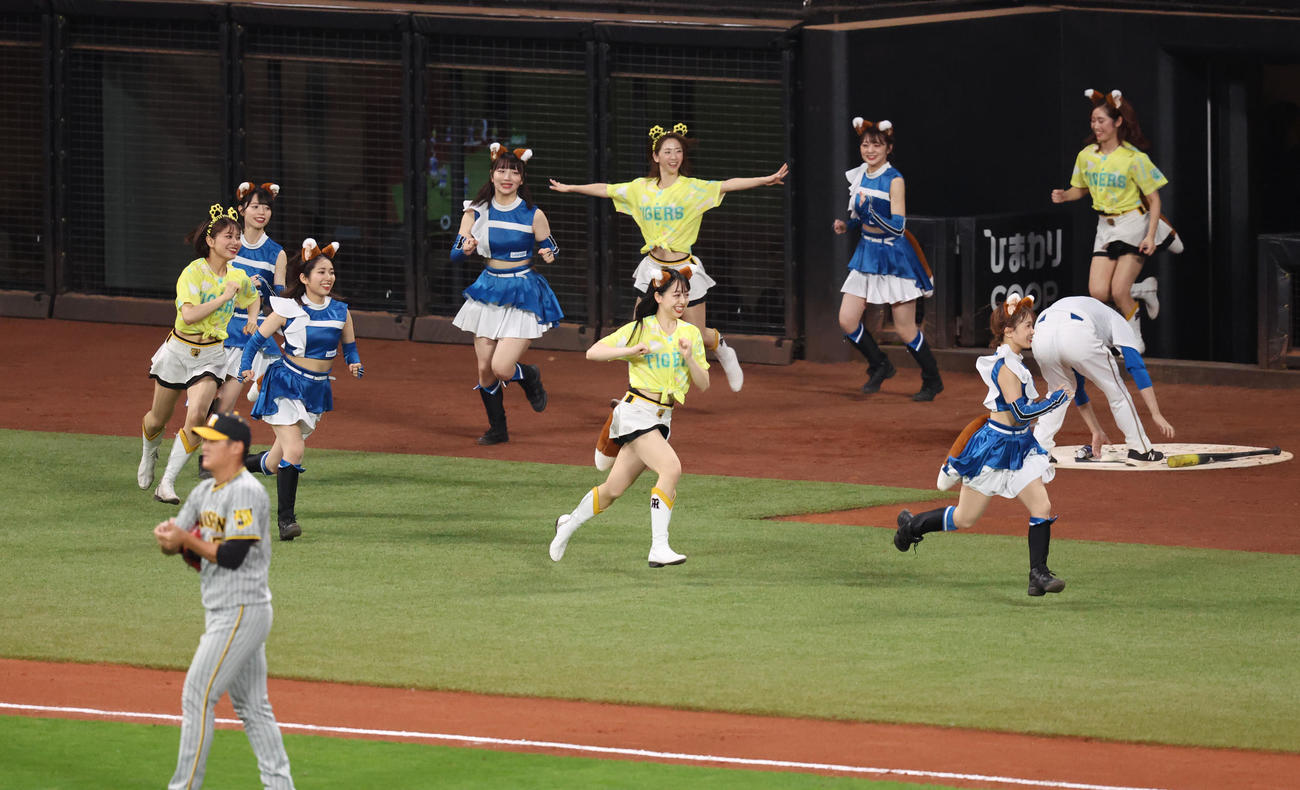 日本ハム対阪神　きつねの耳としっぽをつけて登場するファイターズガールとタイガースガールズ（撮影・佐藤翔太）