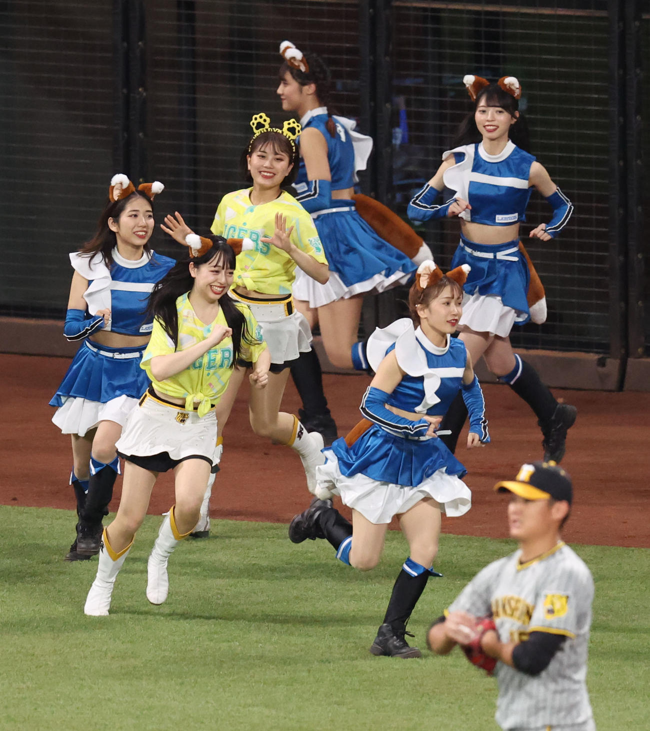 日本ハム対阪神　きつねの耳としっぽをつけて登場するファイターズガールとタイガースガールズ（撮影・佐藤翔太）