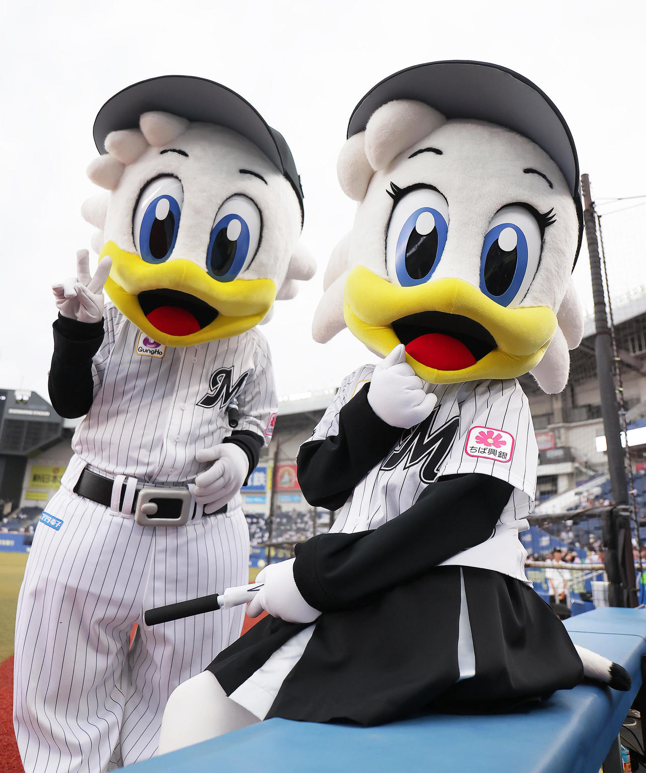 カメラに向かってポーズを決めるロッテマスコットのマーくん（左）とリーンちゃん（撮影・足立雅史）